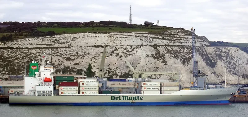 STAR ENDEAVOUR I General Cargo IMO 9517927 photo 9