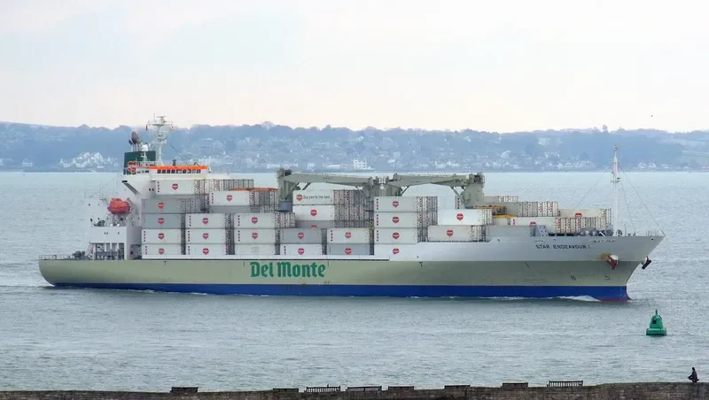 STAR ENDEAVOUR I General Cargo IMO 9517927 photo 10