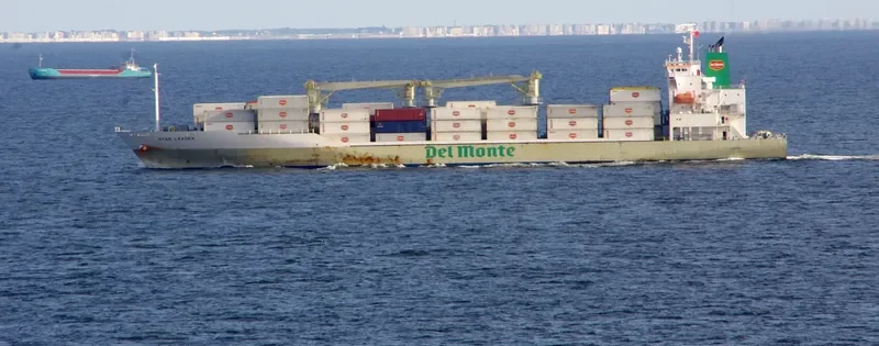 STAR LEADER General Cargo IMO 9517939 photo 3