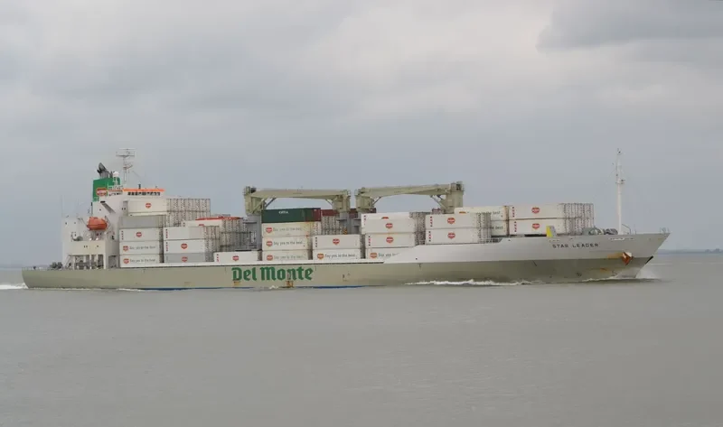 STAR LEADER General Cargo IMO 9517939 photo 4