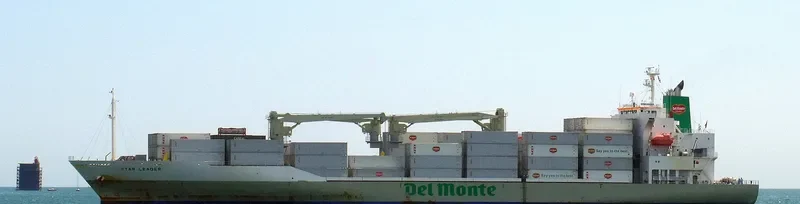 STAR LEADER General Cargo IMO 9517939 photo 5