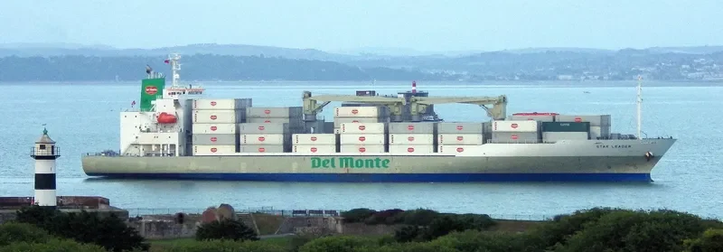 STAR LEADER General Cargo IMO 9517939 photo 7