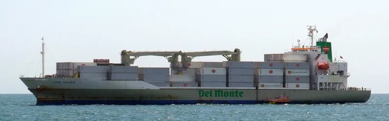 STAR LEADER General Cargo IMO 9517939 photo 8