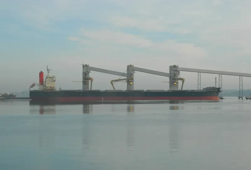 ENERGY GLORY Bulk Carrier IMO 9518074 photo 2