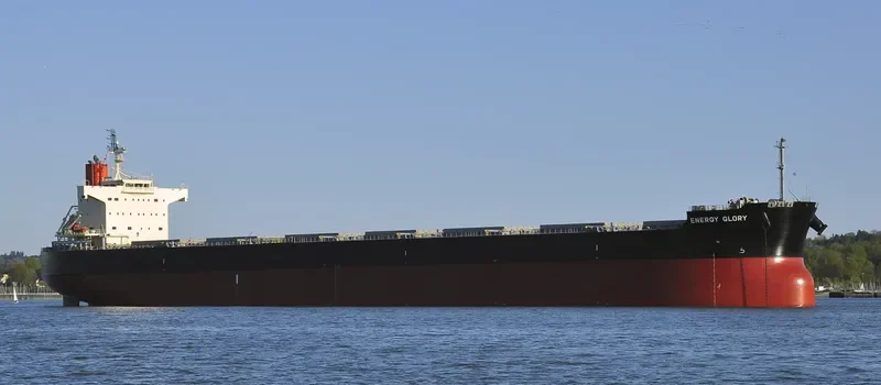 ENERGY GLORY Bulk Carrier IMO 9518074 photo 4
