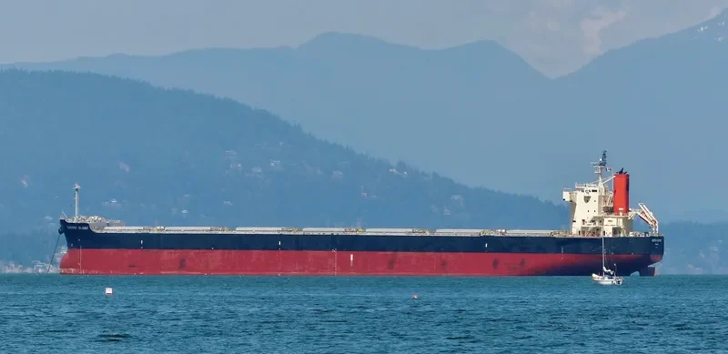 ENERGY GLORY Bulk Carrier IMO 9518074 photo 5