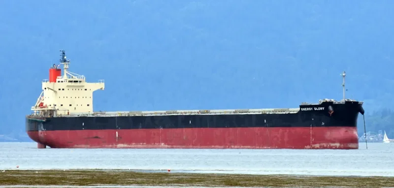 ENERGY GLORY Bulk Carrier IMO 9518074 photo 7