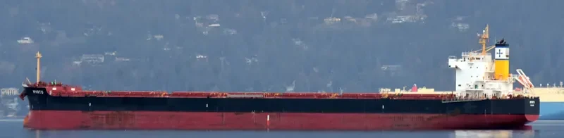 MYRTO Bulk Carrier IMO 9518086 photo 10