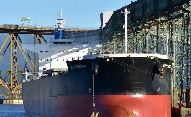 BULK PORTUGAL Bulk Carrier IMO 9518098