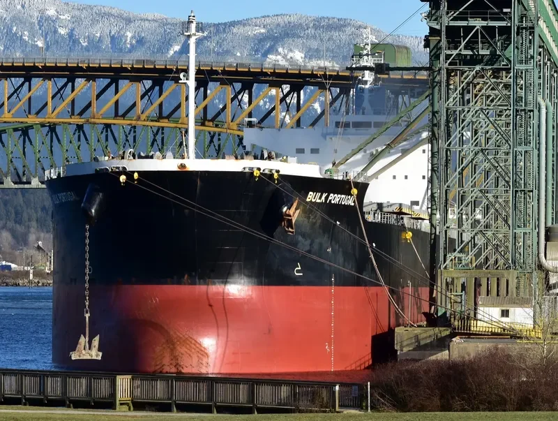 BULK PORTUGAL Bulk Carrier IMO 9518098 photo 2