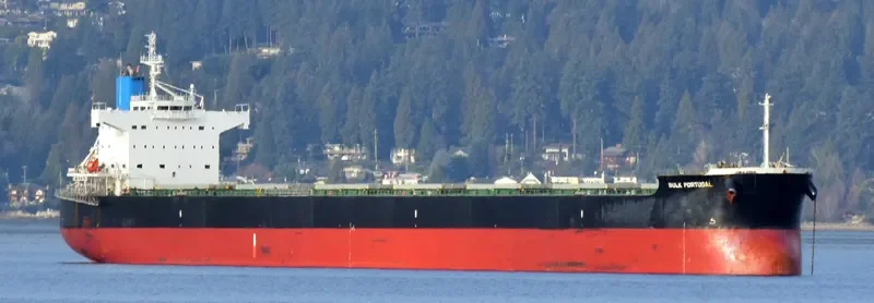 BULK PORTUGAL Bulk Carrier IMO 9518098 photo 3