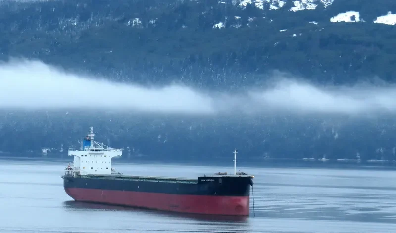 BULK PORTUGAL Bulk Carrier IMO 9518098 photo 7