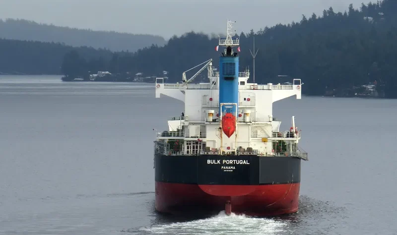 BULK PORTUGAL Bulk Carrier IMO 9518098 photo 8