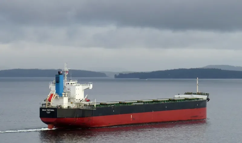 BULK PORTUGAL Bulk Carrier IMO 9518098 photo 9
