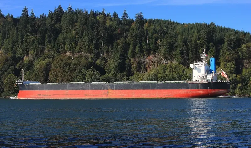 BULK PORTUGAL Bulk Carrier IMO 9518098 photo 10