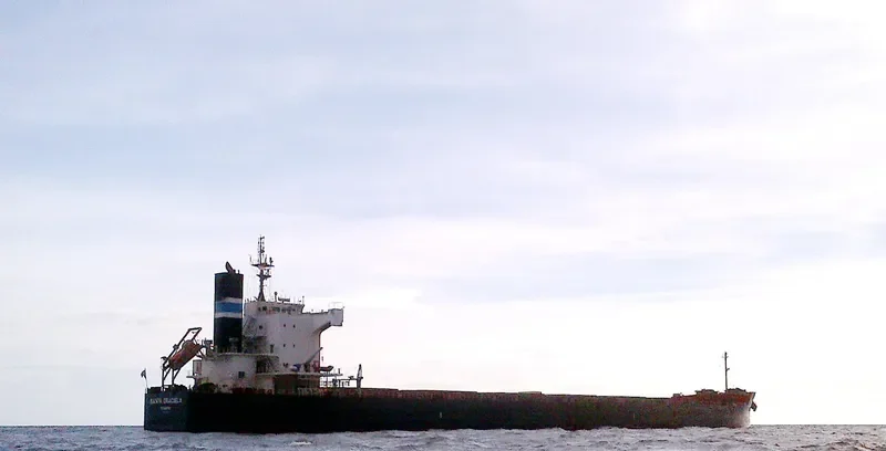 SANTA GRACIELA Bulk Carrier IMO 9518103 photo 2