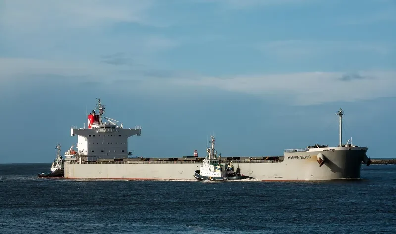 MARINA BLISS Bulk Carrier IMO 9518141 photo 3