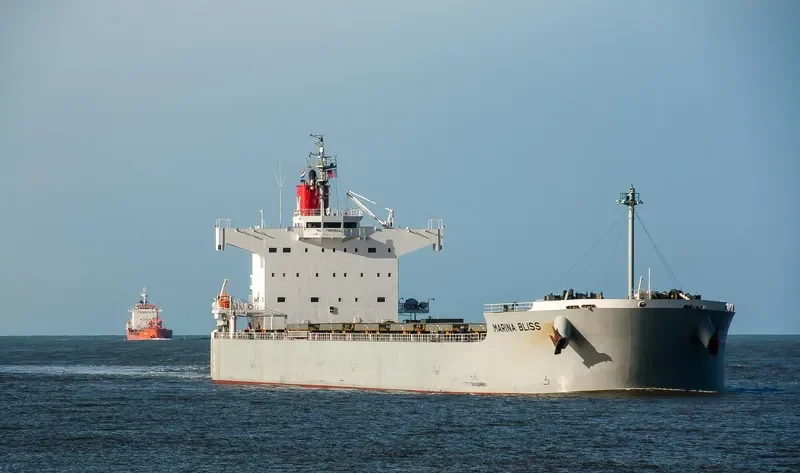 MARINA BLISS Bulk Carrier IMO 9518141 photo 4