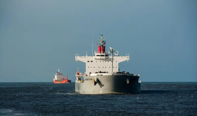 MARINA BLISS Bulk Carrier IMO 9518141 photo 5
