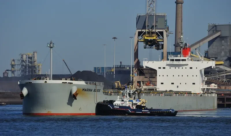MARINA BLISS Bulk Carrier IMO 9518141 photo 6