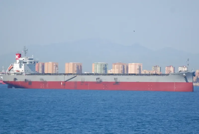 SHINING BLISS Bulk Carrier IMO 9518153 photo 2
