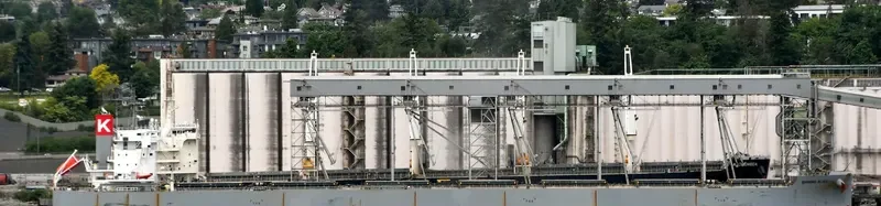 SHINING BLISS Bulk Carrier IMO 9518153 photo 5