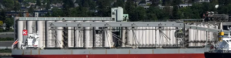 SHINING BLISS Bulk Carrier IMO 9518153 photo 6