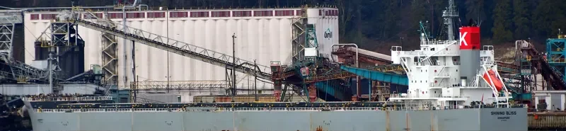 SHINING BLISS Bulk Carrier IMO 9518153 photo 8