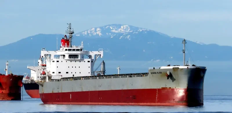 SHINING BLISS Bulk Carrier IMO 9518153 photo 10