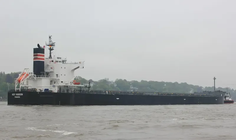 BLUE RIDGE Bulk Carrier IMO 9518177 photo 3