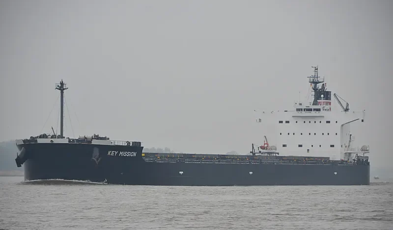 BLUE RIDGE Bulk Carrier IMO 9518177 photo 9