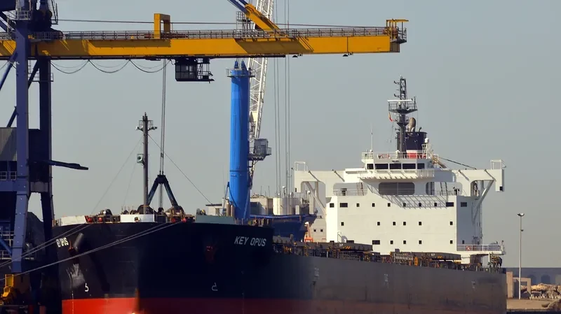 KEY OPUS Bulk Carrier IMO 9518206 photo 8