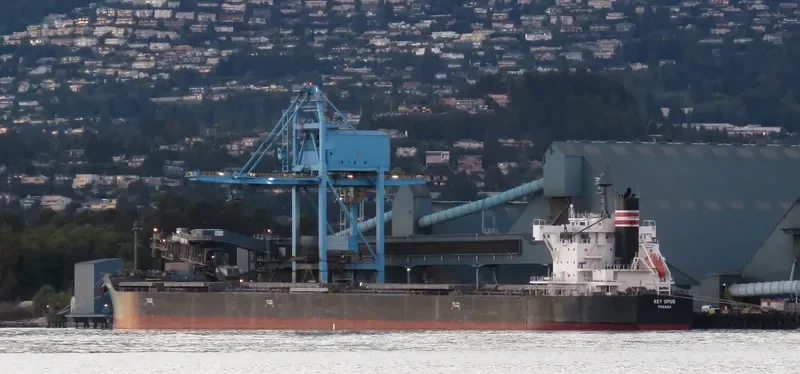 KEY OPUS Bulk Carrier IMO 9518206 photo 10