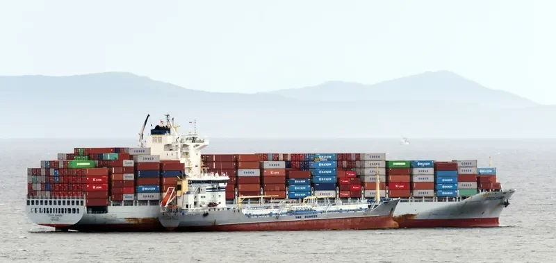 COSCO ASHDOD Container Ship IMO 9518335 photo 2