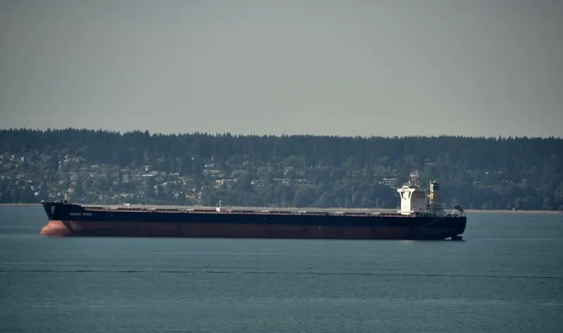 OCEAN DUKE Bulk Carrier IMO 9518660 photo 2
