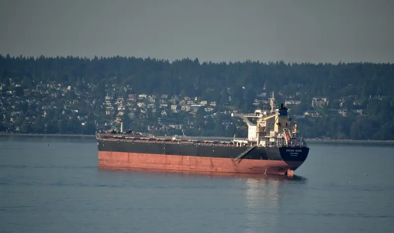 OCEAN DUKE Bulk Carrier IMO 9518660 photo 3