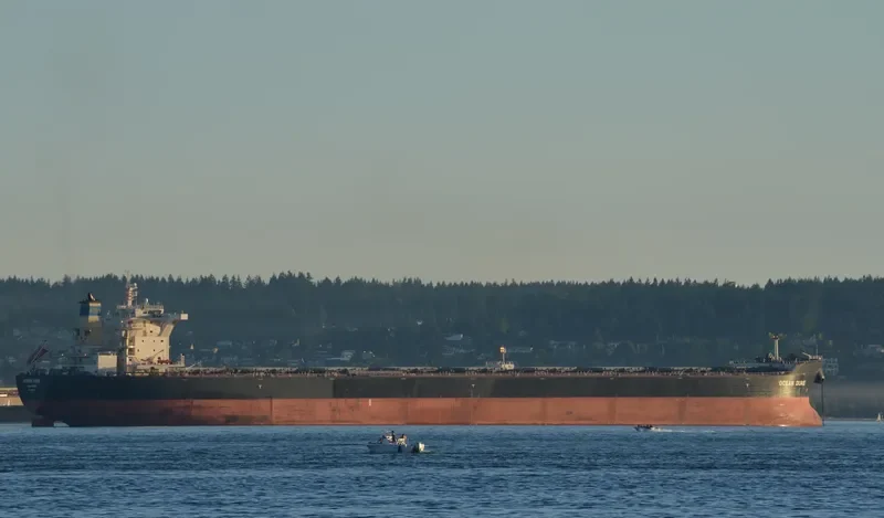 OCEAN DUKE Bulk Carrier IMO 9518660 photo 4