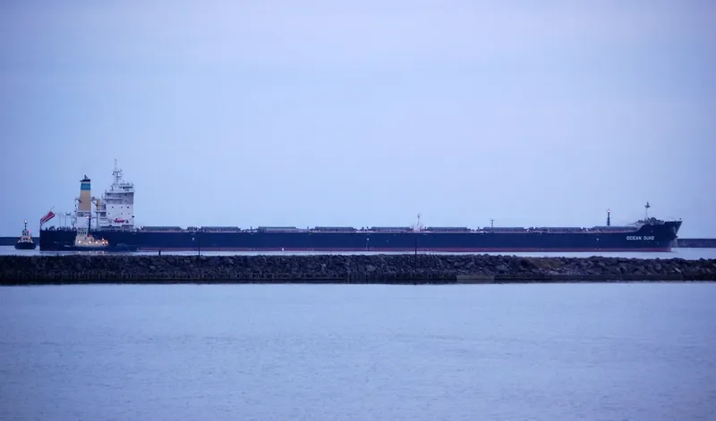 OCEAN DUKE Bulk Carrier IMO 9518660 photo 7