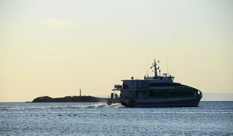 EMIR SULTAN Passenger Ship IMO 9518684 photo 8