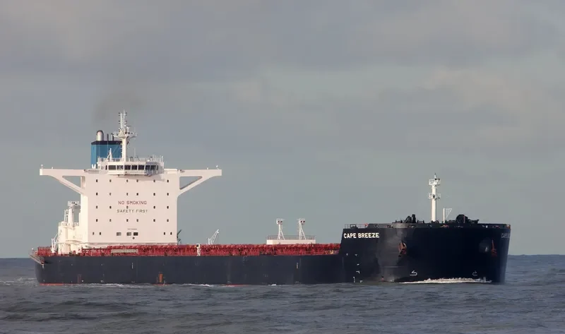 CAPE BREEZE Bulk Carrier IMO 9518919 photo 3