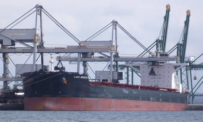 CAPE BREEZE Bulk Carrier IMO 9518919 photo 7