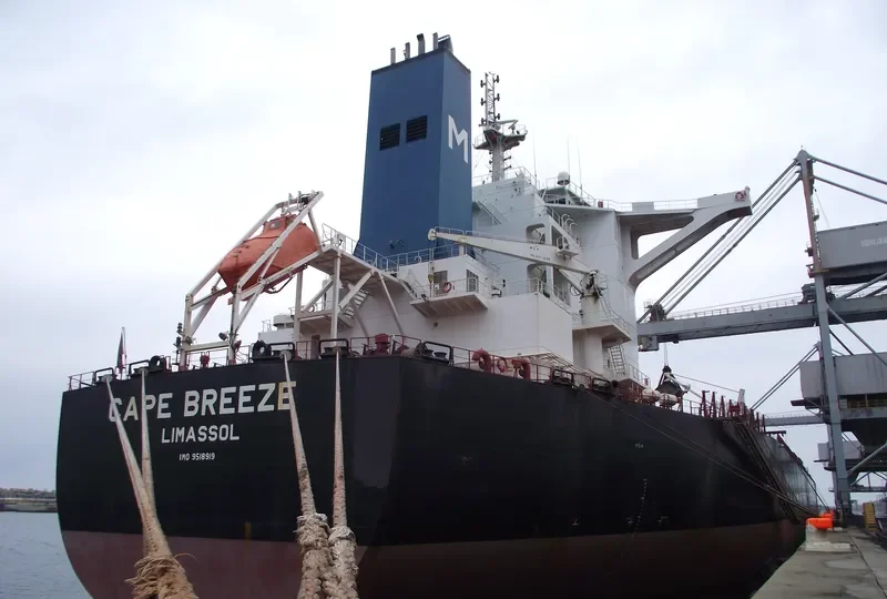 CAPE BREEZE Bulk Carrier IMO 9518919 photo 8