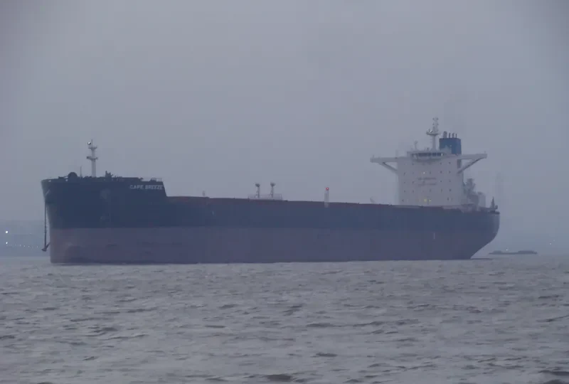 CAPE BREEZE Bulk Carrier IMO 9518919 photo 9