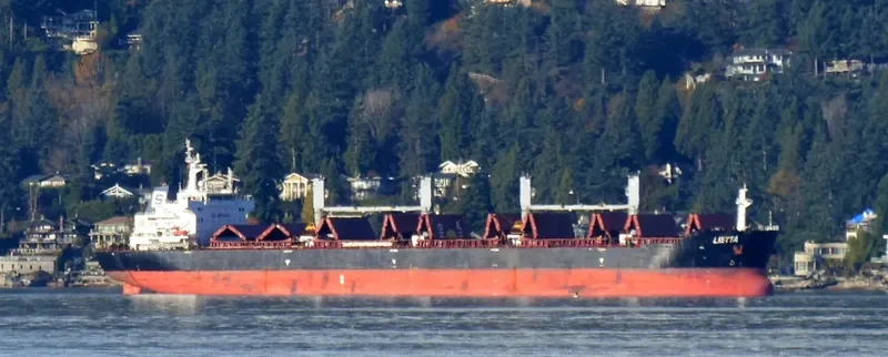 XIN HAI TONG 18 Bulk Carrier IMO 9519004 photo 2