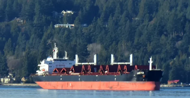 XIN HAI TONG 18 Bulk Carrier IMO 9519004 photo 3