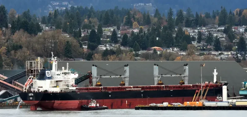 XIN HAI TONG 18 Bulk Carrier IMO 9519004 photo 5