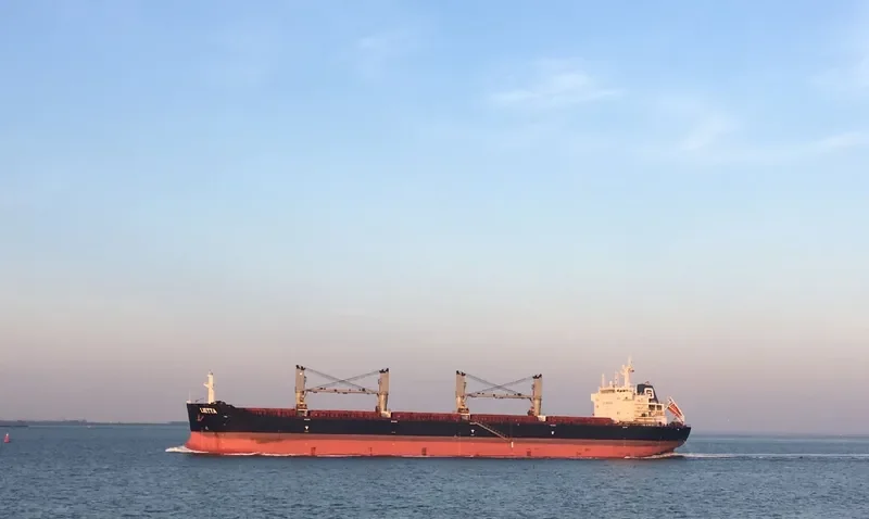 XIN HAI TONG 18 Bulk Carrier IMO 9519004 photo 6