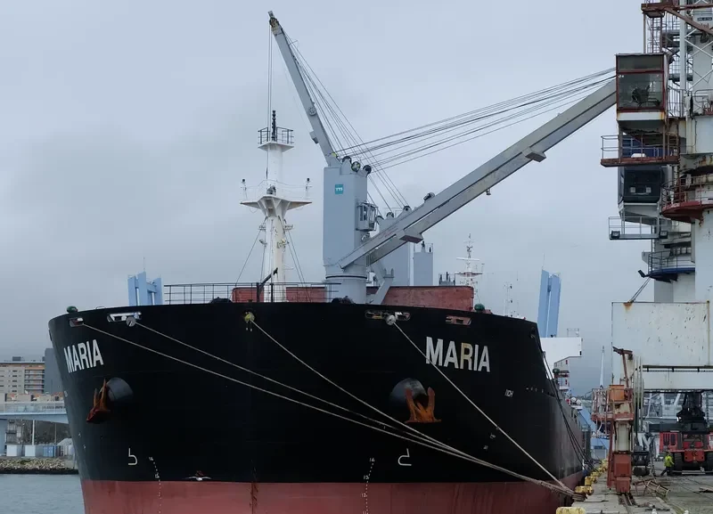 XIN HAI TONG 17 Bulk Carrier IMO 9519016