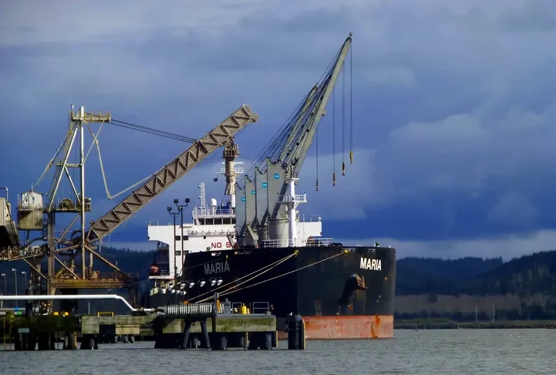 XIN HAI TONG 17 Bulk Carrier IMO 9519016 photo 2