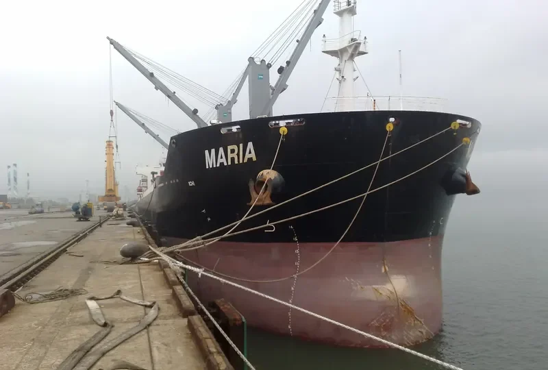 XIN HAI TONG 17 Bulk Carrier IMO 9519016 photo 4